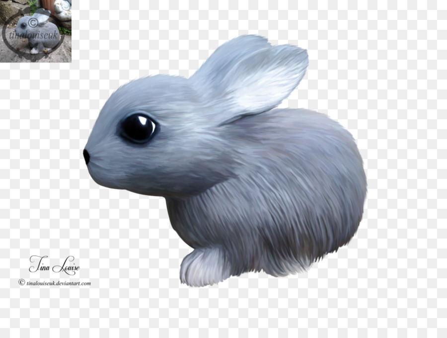 Hare，Nacionales De Conejo PNG