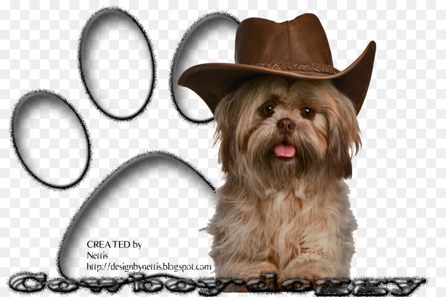 Perro Con Sombrero De Vaquero，Vaquero PNG