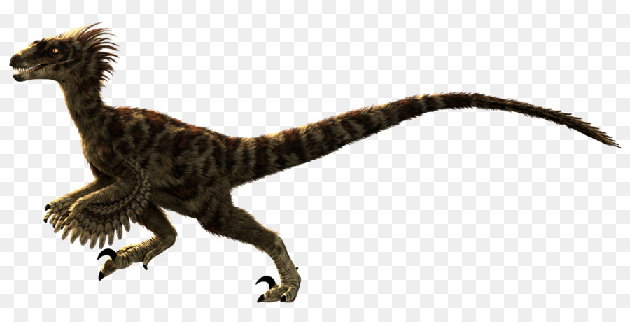 Velociraptor，Primal Carnage PNG