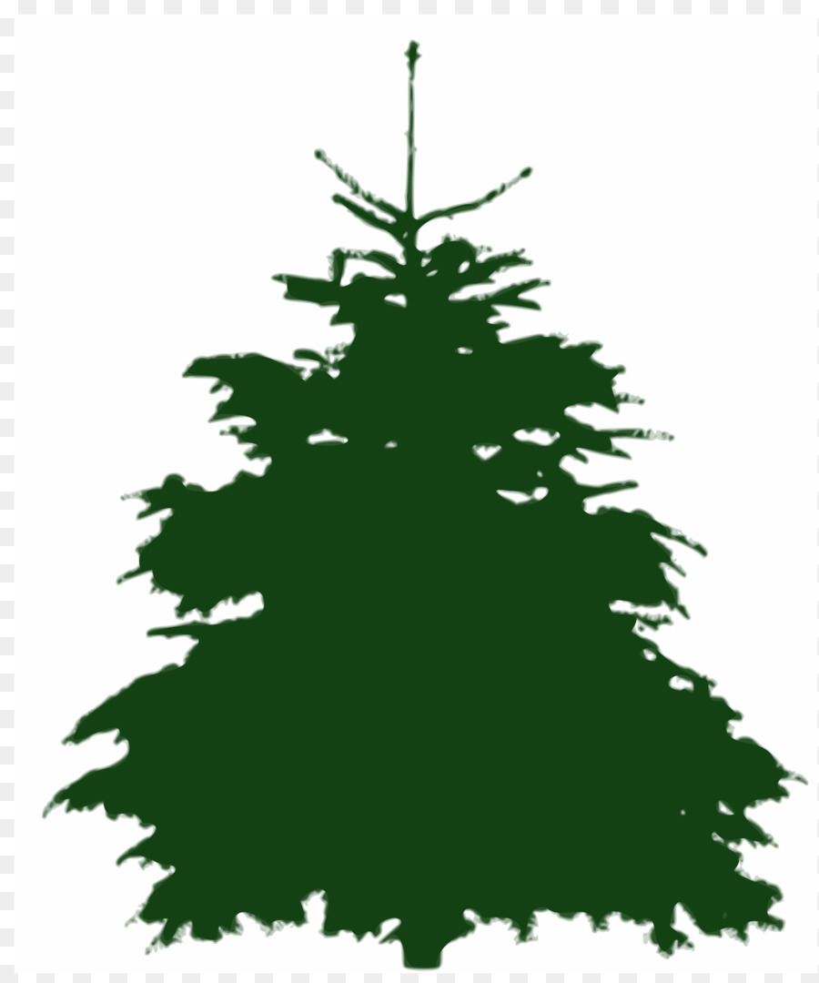 árbol，Fir PNG