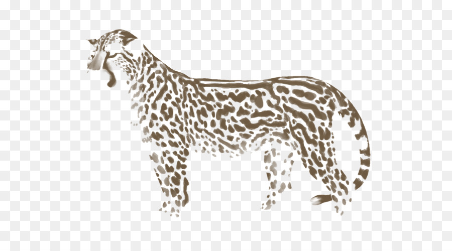 Leopardo，Manchas PNG