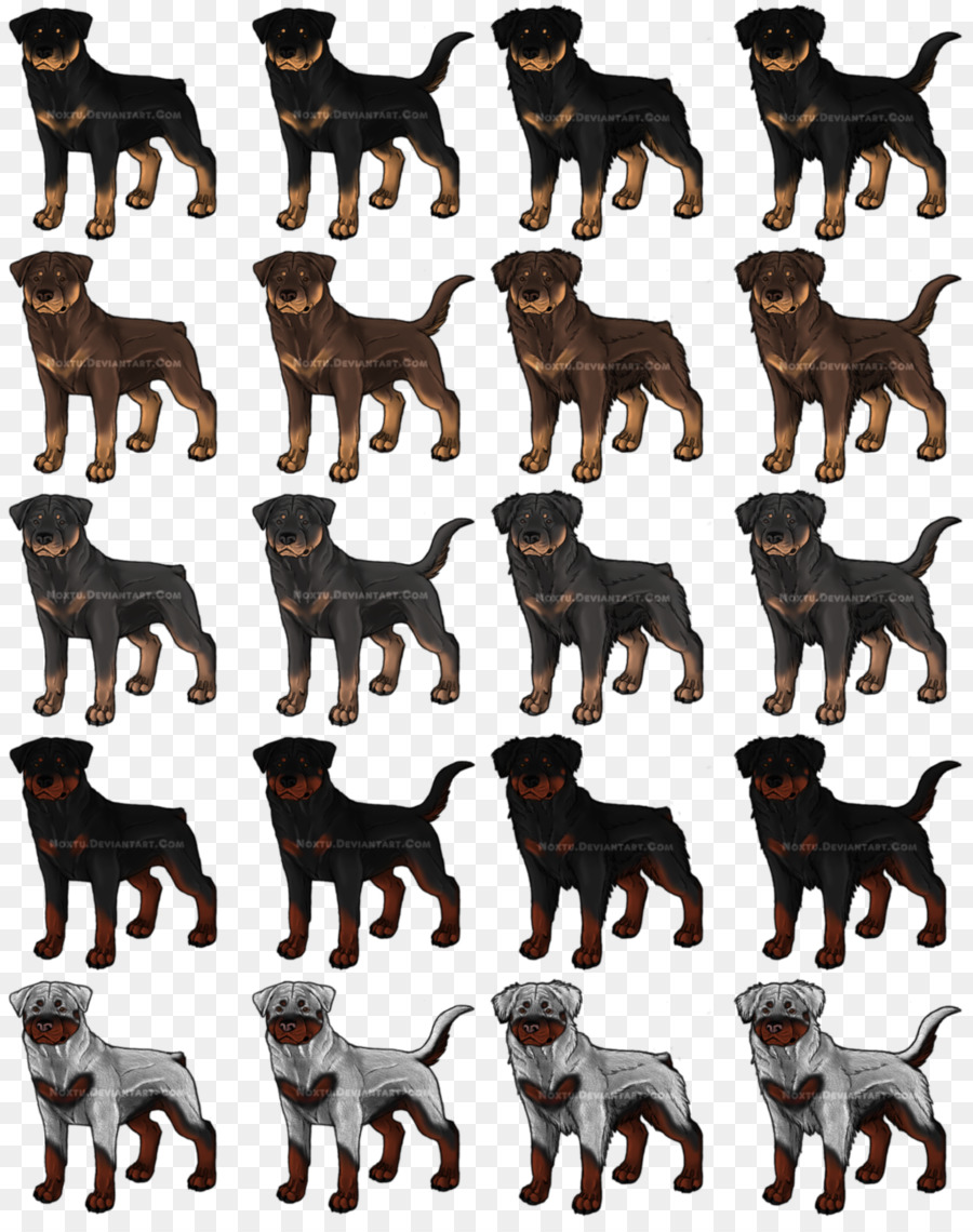 Rottweiler，Mastín Tibetano PNG