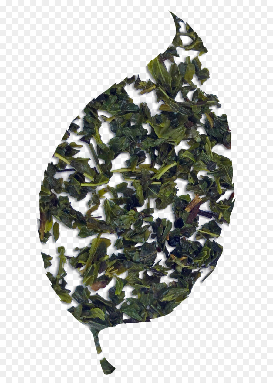 Hojas De Té，Verde PNG