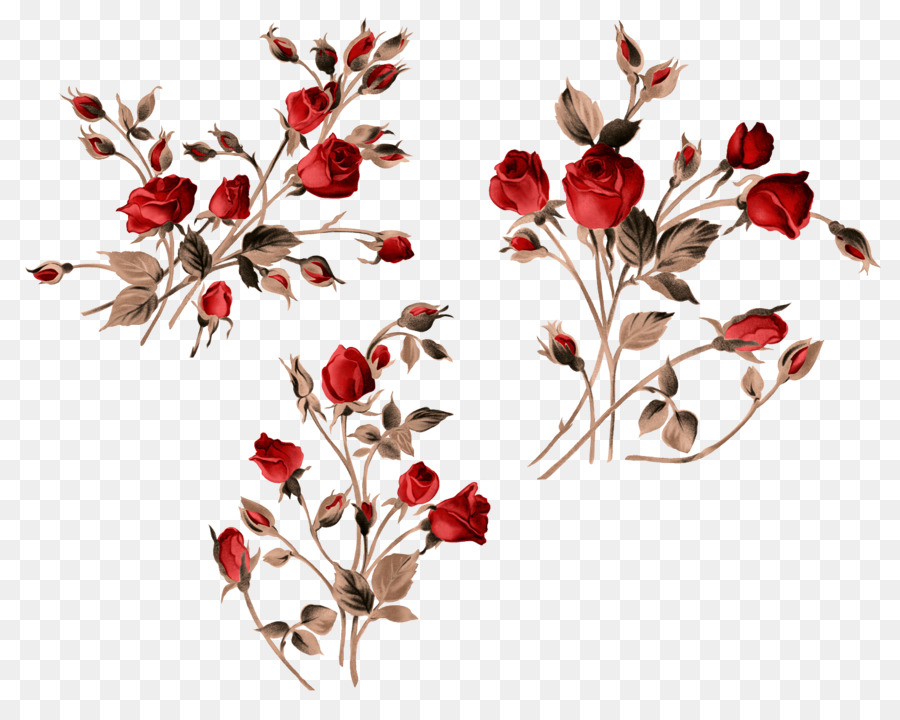 Rosas Rojas，Ramo PNG