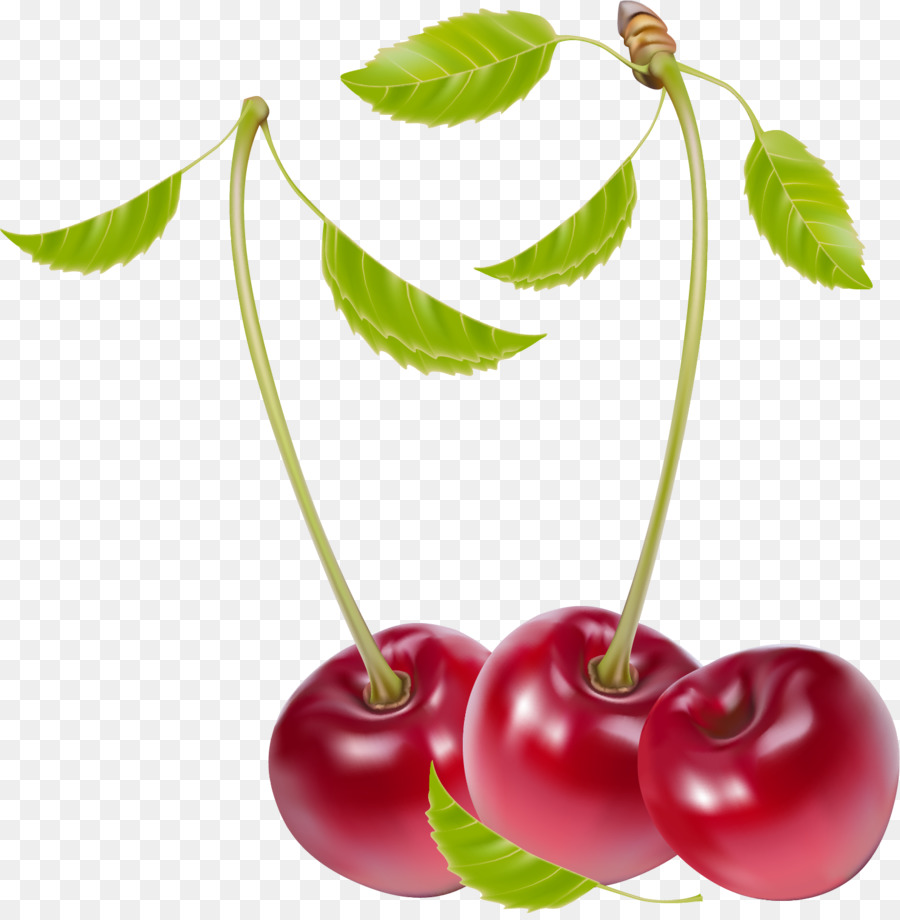 Cereza Roja，Provenir PNG