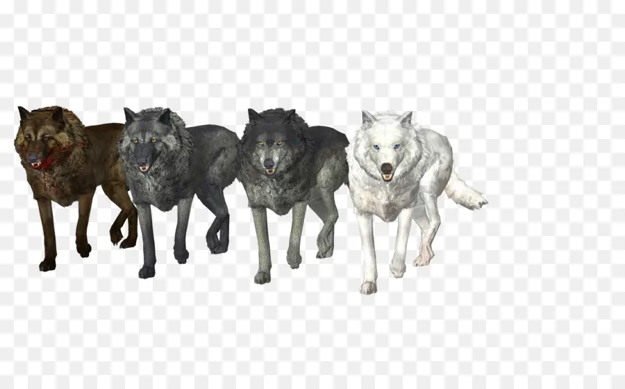 Lobos，Embalar PNG