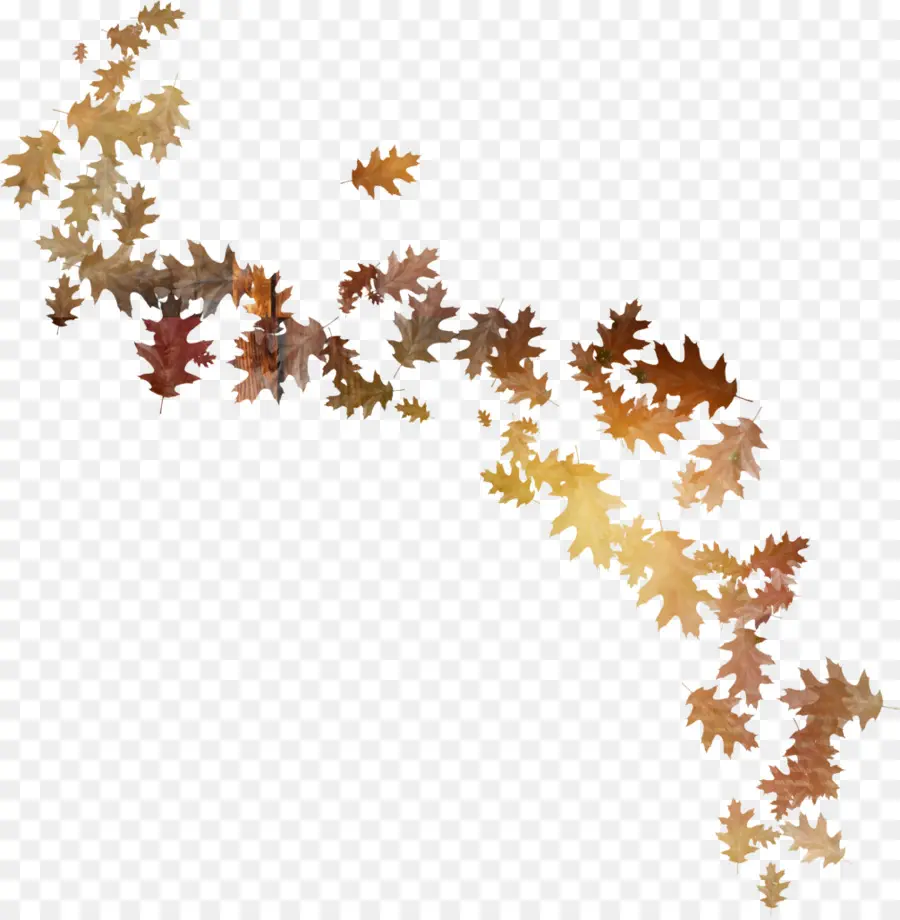 Hojas De Otoño，Caer PNG