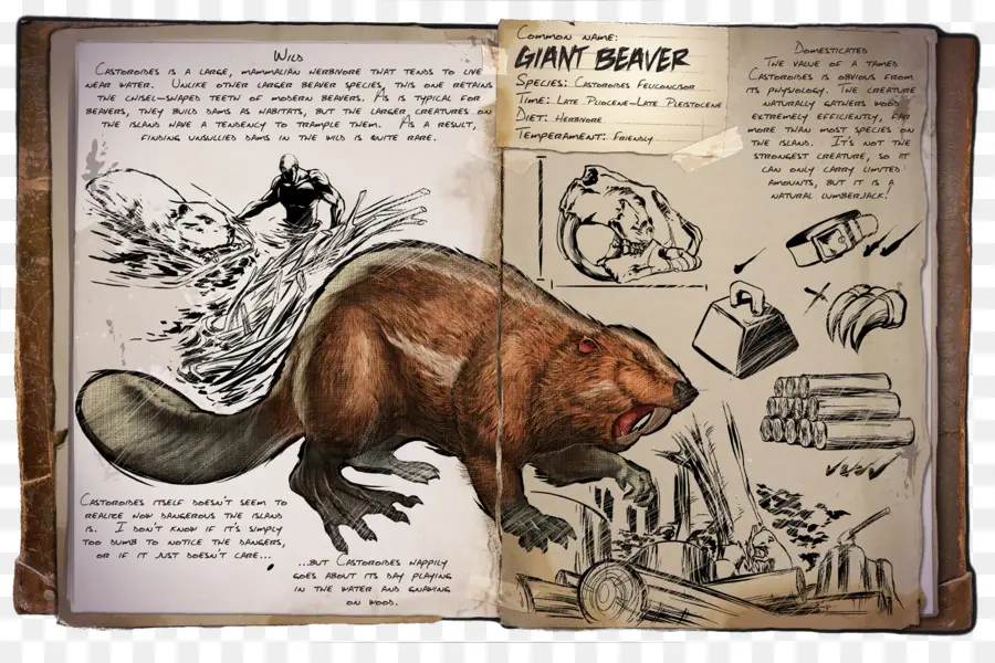 Arca De Supervivencia Evolucionado，Beaver PNG