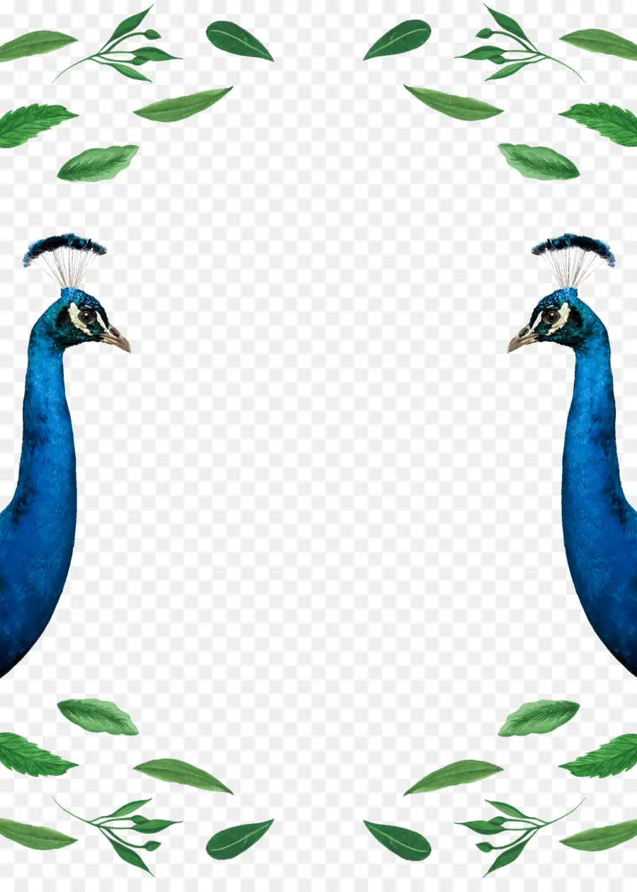 Pavos Reales Con Hojas，Pájaros PNG