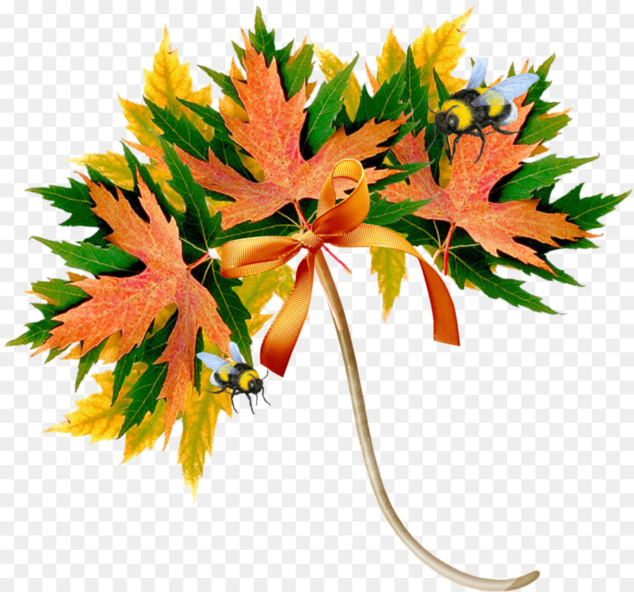 Otoño，Día PNG