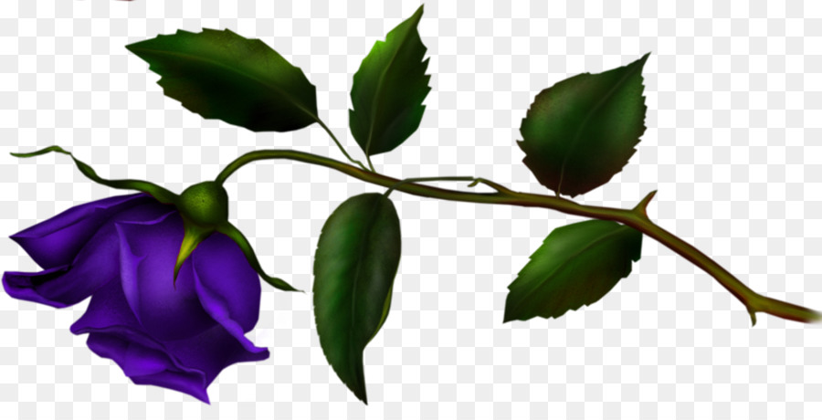 Flor，Azul PNG