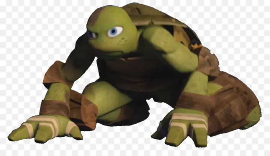 Tortuga Ninja，Tortuga PNG