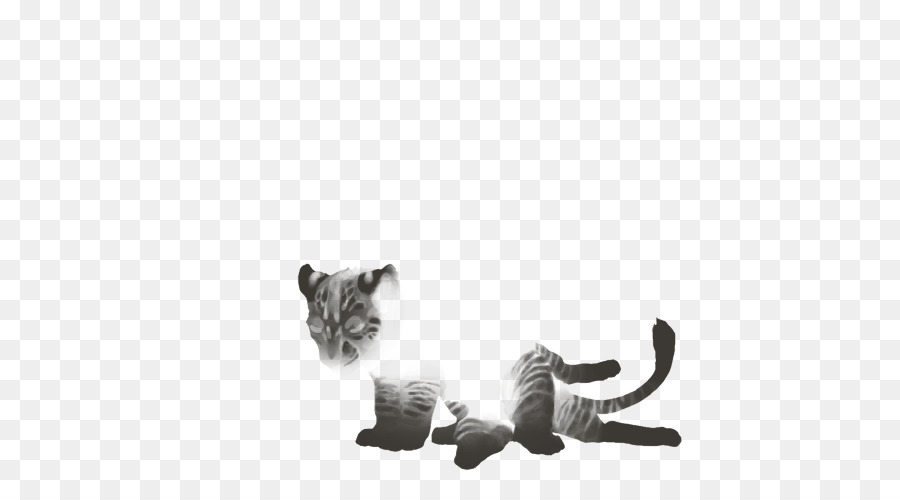 Felidae，Gato PNG