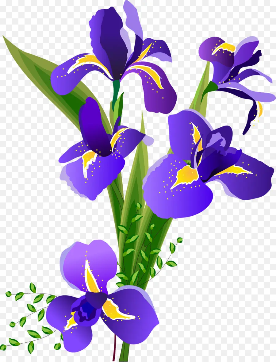 Flor，Los Lirios PNG