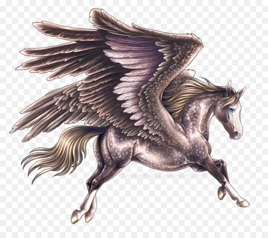 Pegasus，Los Caballos Voladores PNG