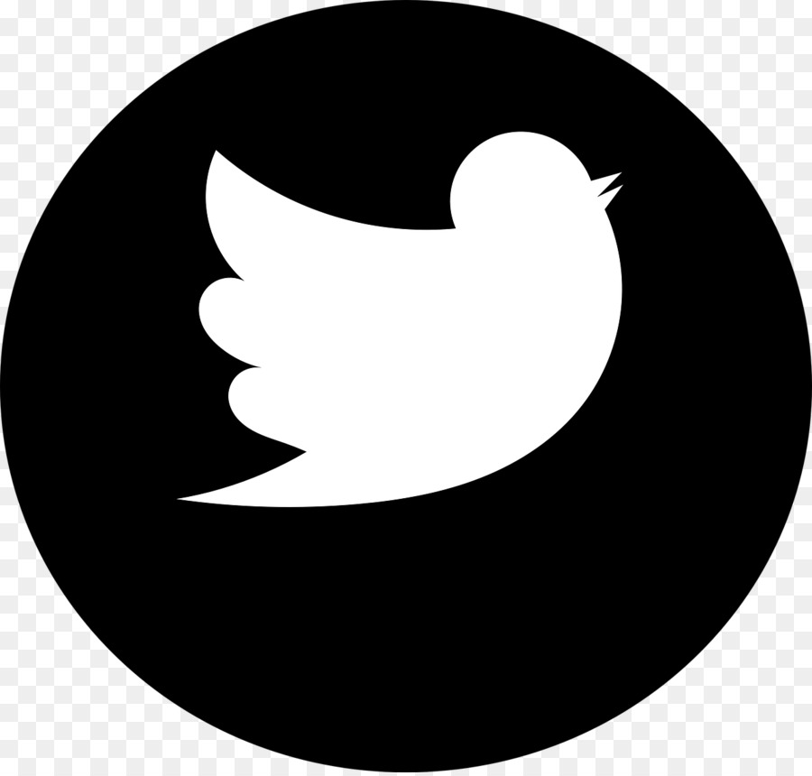 Logotipo De Twitter，Pájaro PNG