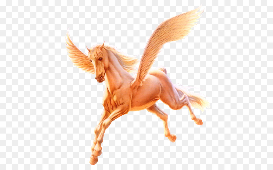 Caballo Alado，Pegaso PNG