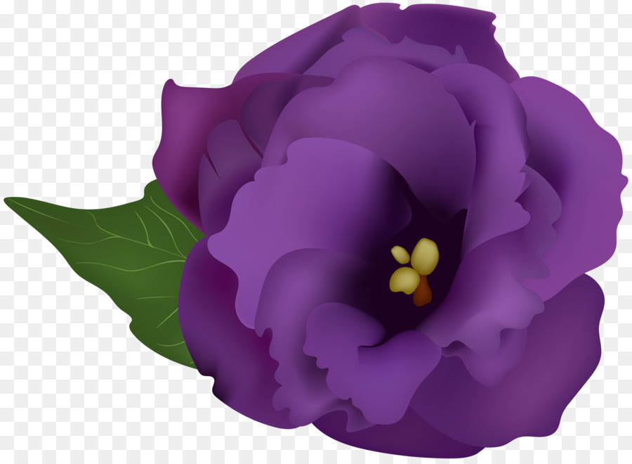 Flor Morada，Hojas PNG