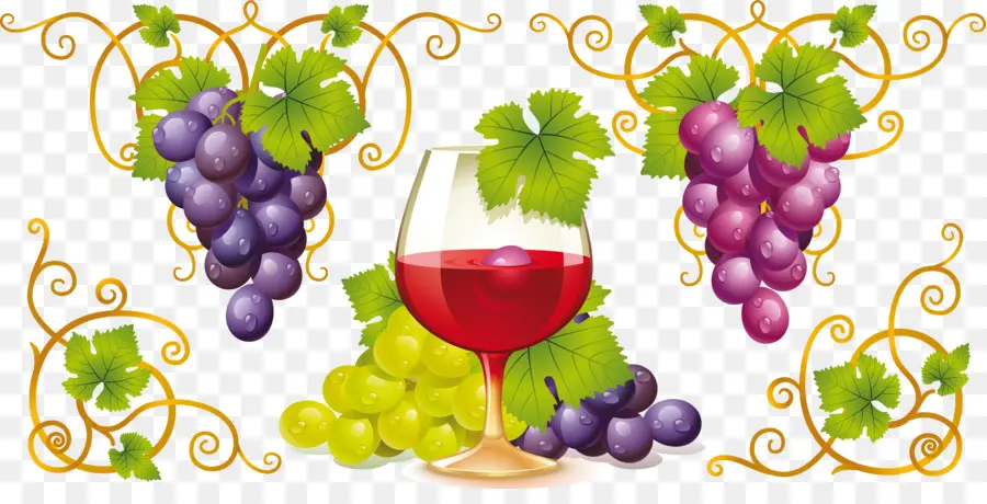 Copa De Vino，Uvas PNG