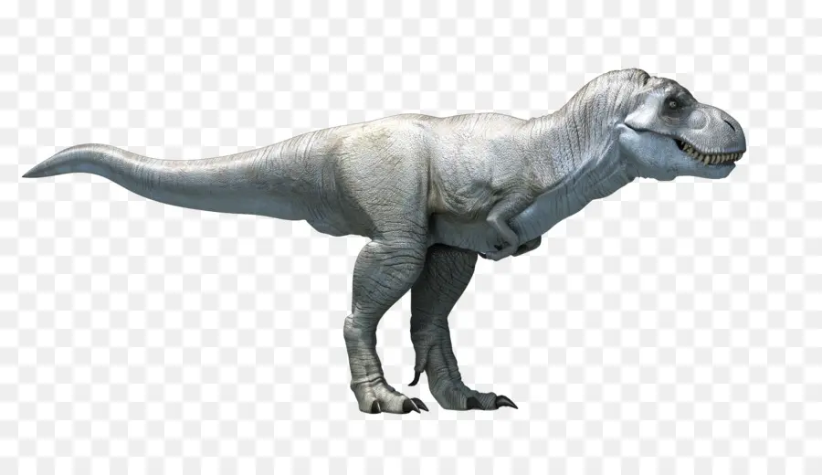 Tyrannosaurus，Dinosaurio PNG