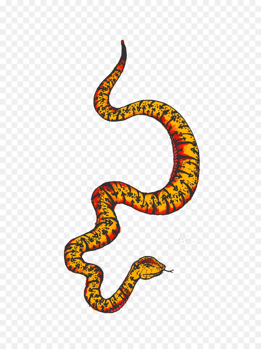 Serpiente，Reptil PNG