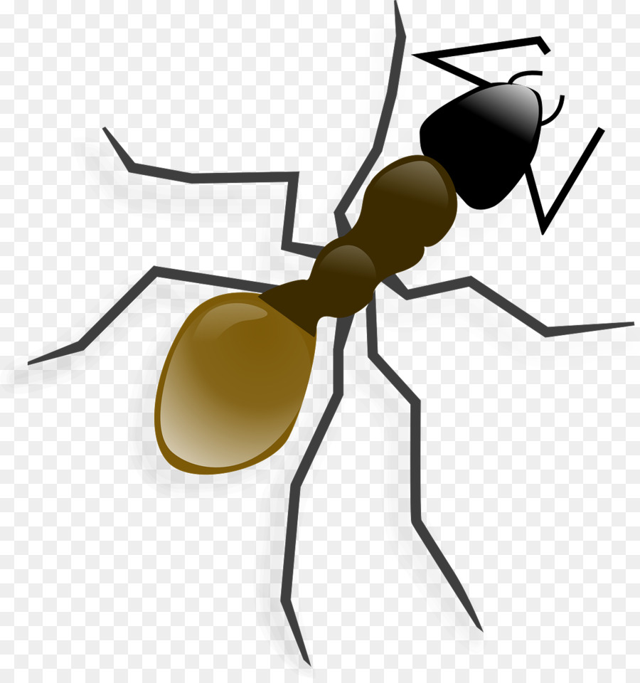 Ant，Iconos De Equipo PNG