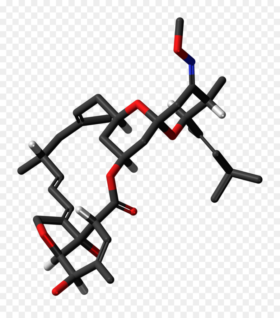 Moxidectina，Gusano PNG