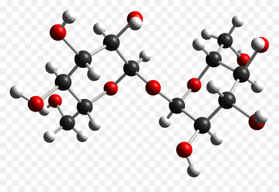 La Trehalosa，Disacárido PNG