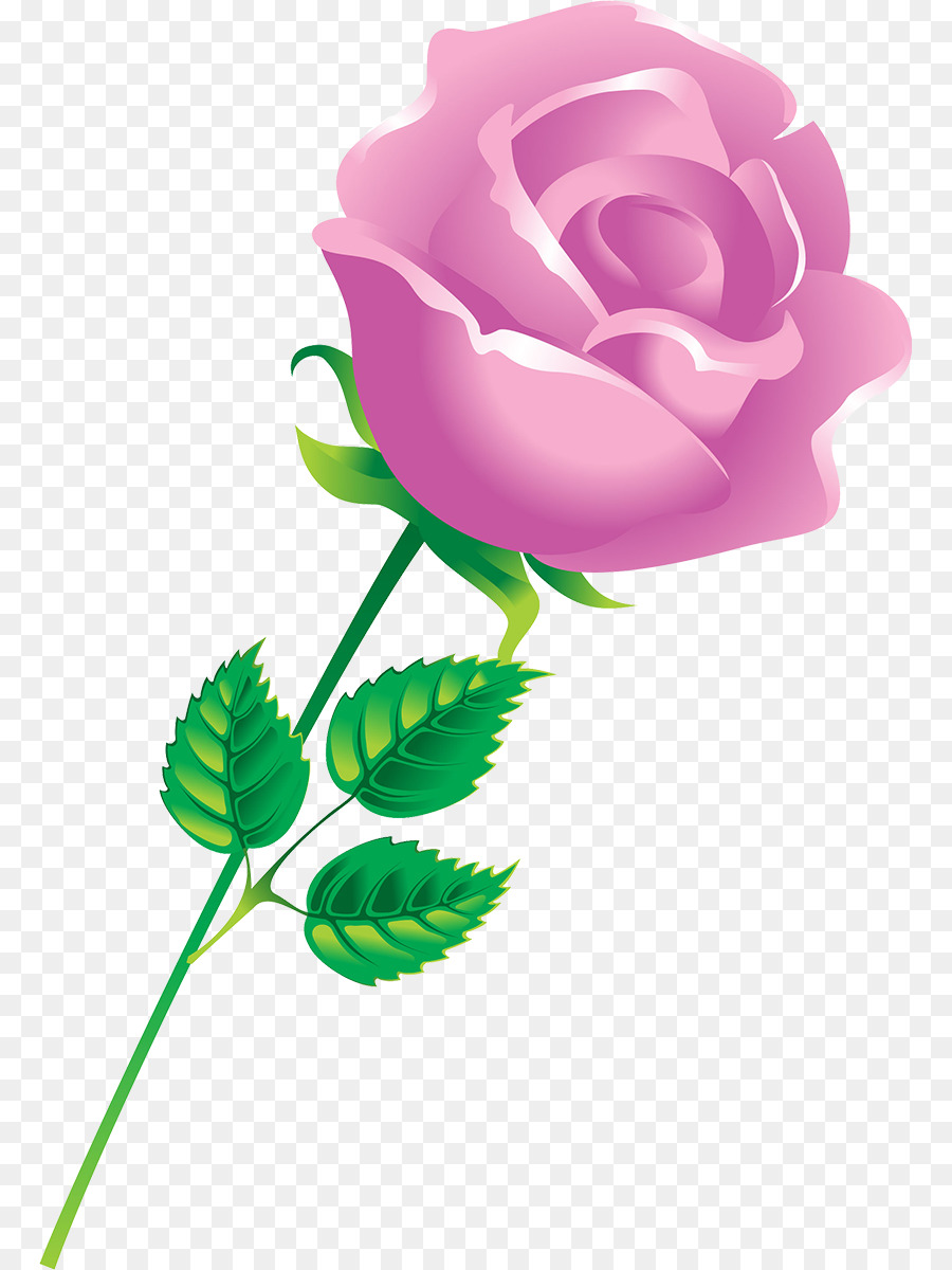 Rosas Rosadas，Hojas PNG