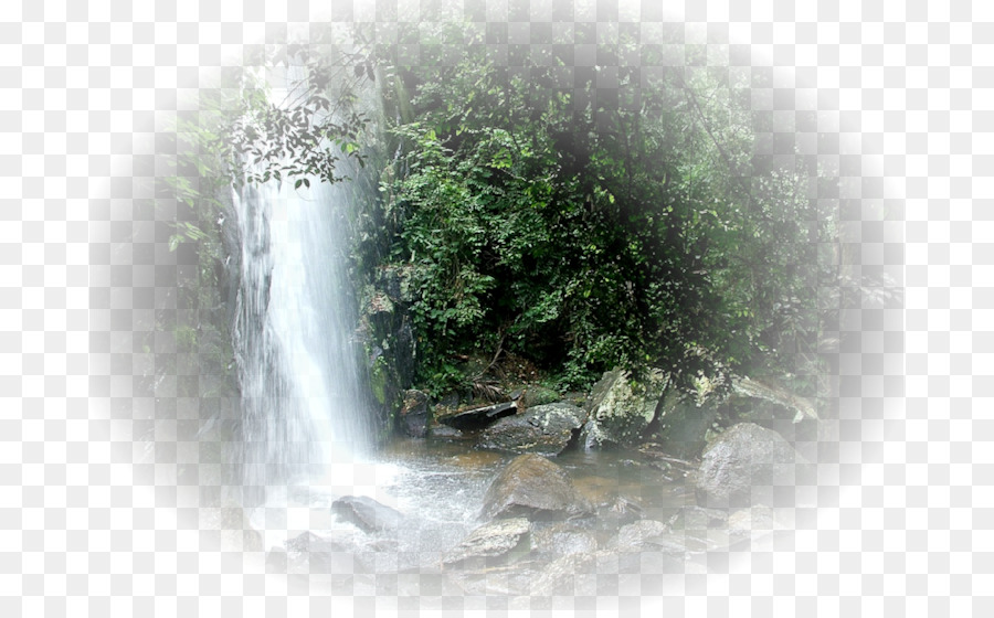 Arroyo Del Bosque，Cascada PNG