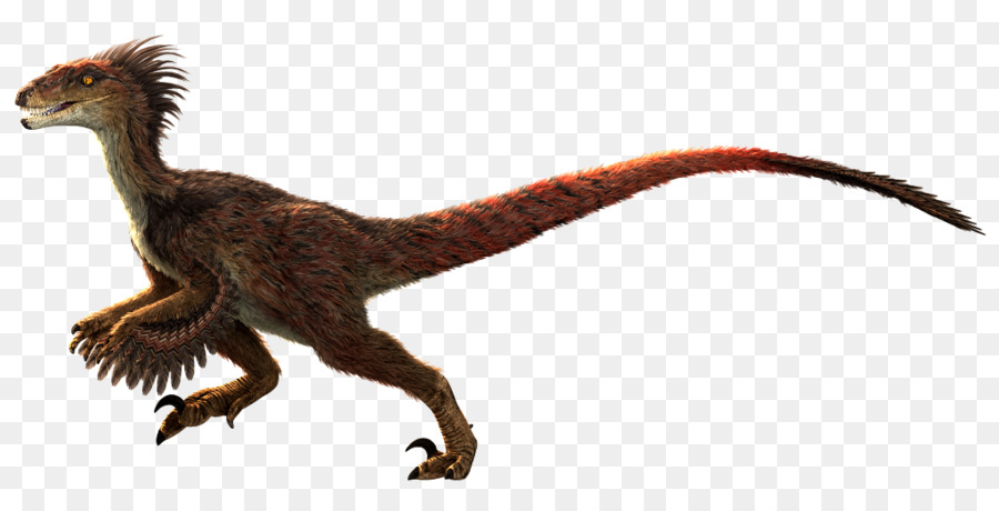 Velociraptor，Primal Carnage PNG