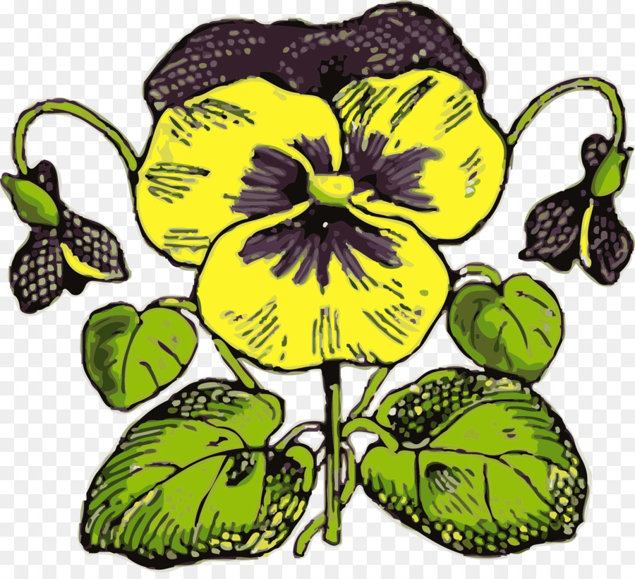 Pansy，Flor PNG