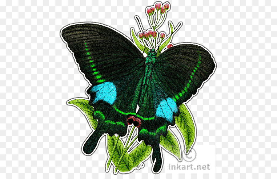 Mariposa，Papilio París PNG