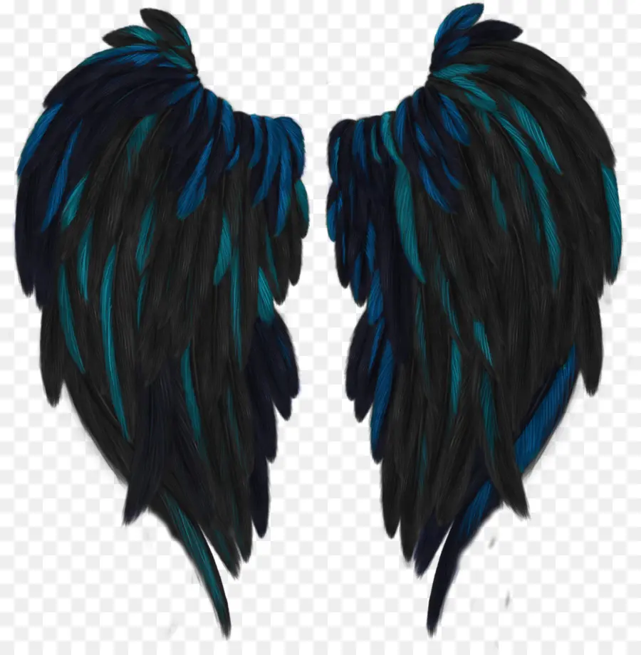 Alas Negras Y Azules，Plumas PNG