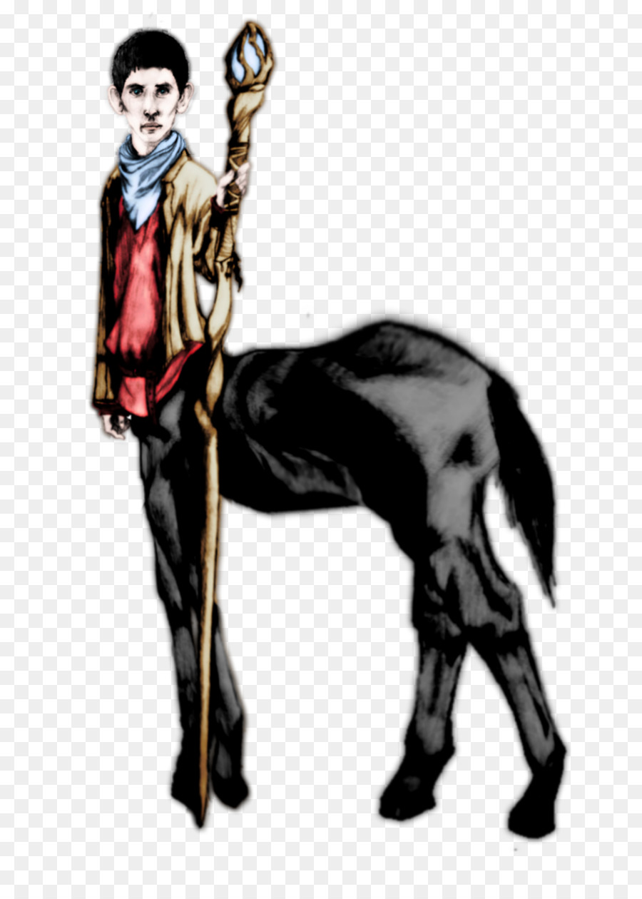 Caballo，El Comportamiento Humano PNG