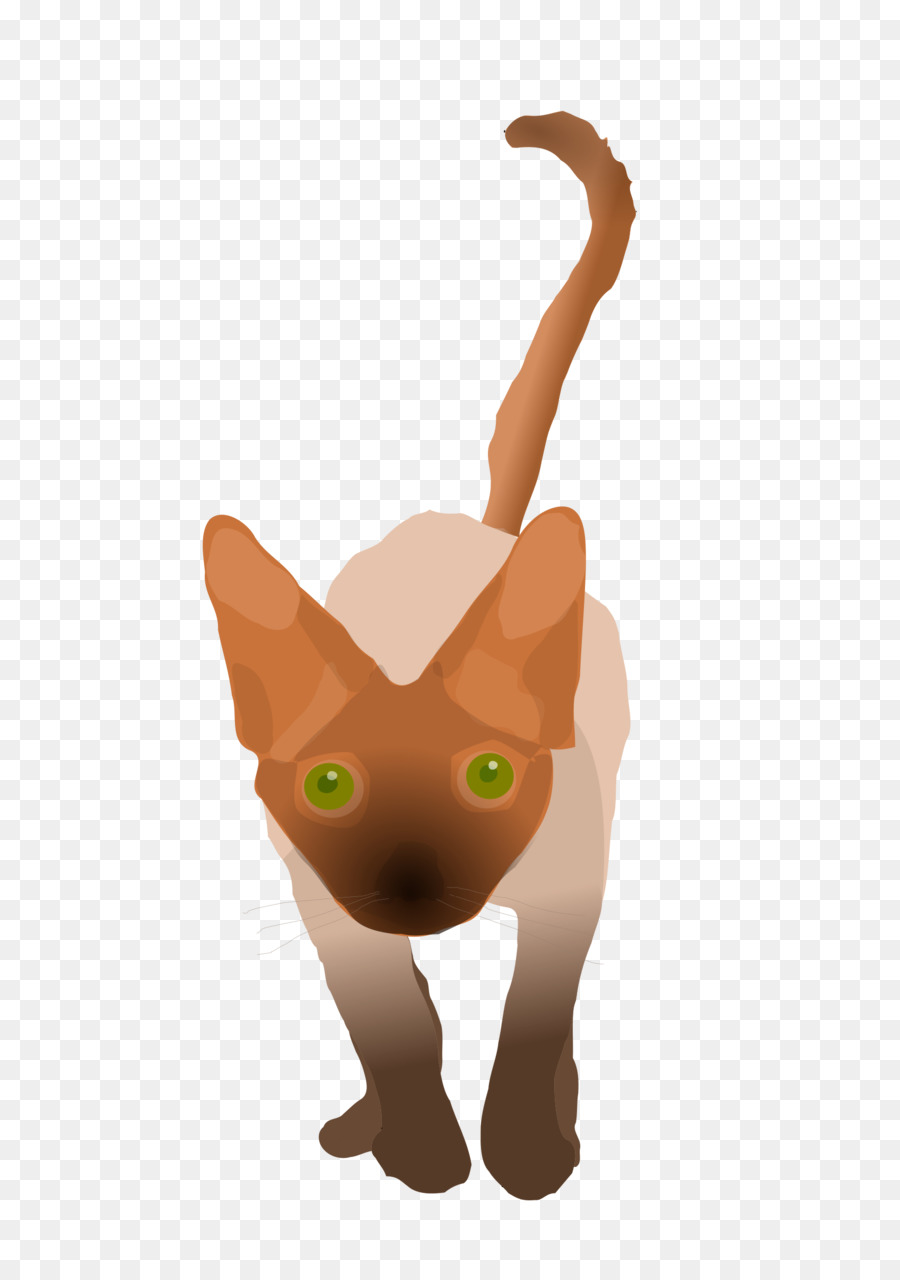 Camiseta，Devon Rex PNG