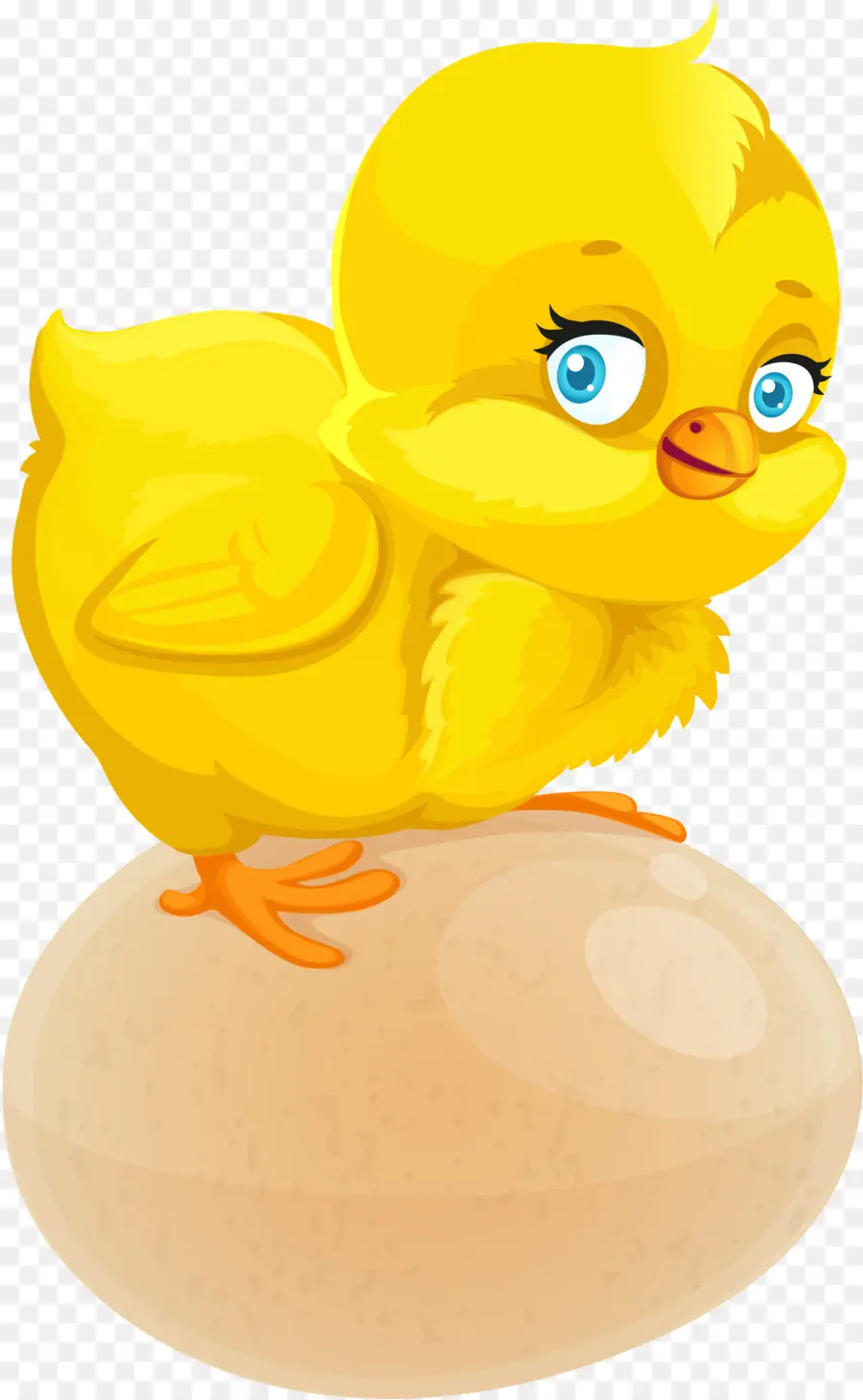 Pollo，Dibujo PNG