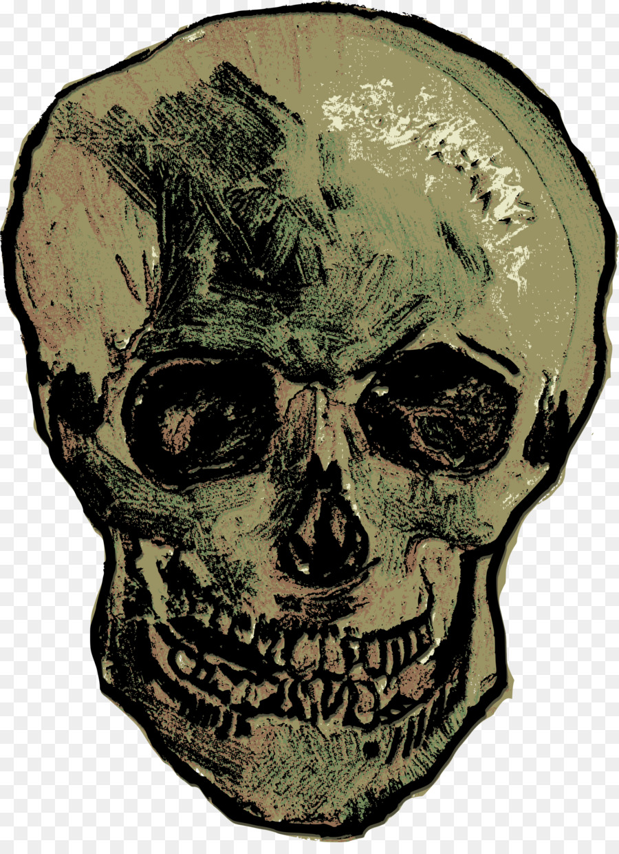 Cráneo De Un Esqueleto Con La Quema De Cigarrillos，Cráneo PNG