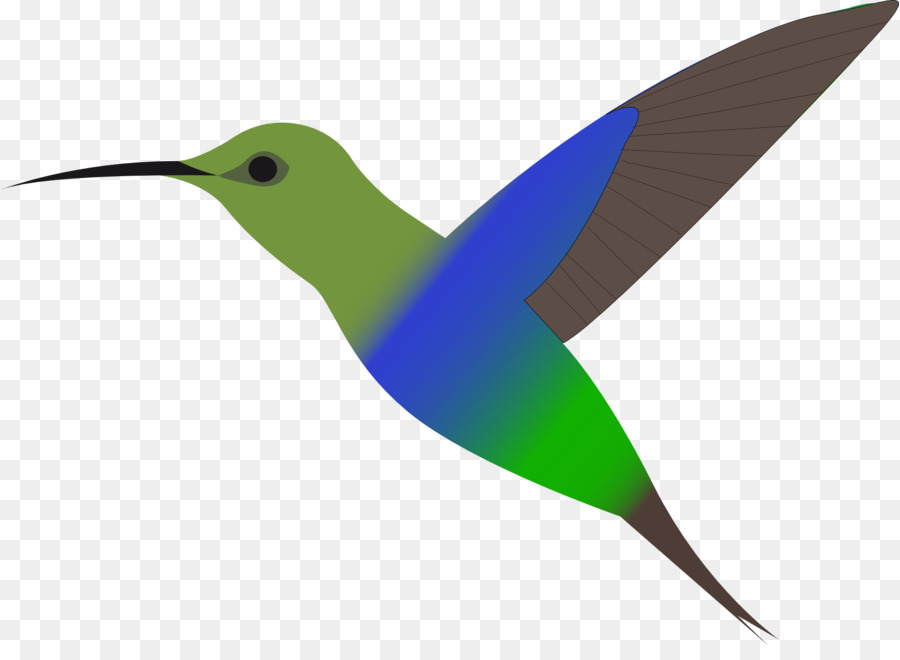 Colibrí，Pájaro PNG