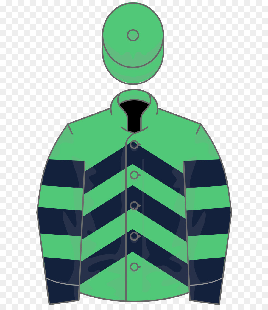 2006 Grand National，El Hipódromo De Aintree PNG