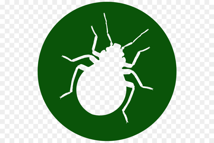 Cucaracha，Mosquito PNG