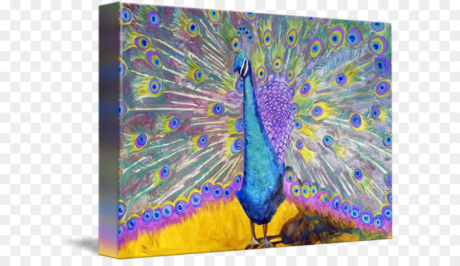 Pintura De Pavo Real，Vistoso PNG