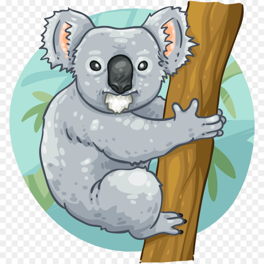 Koala De Dibujos Animados，Animal PNG