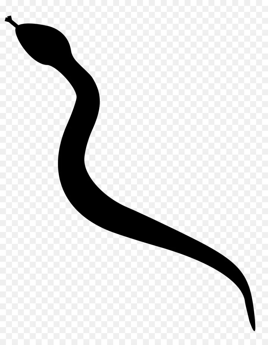La Serpiente，La Serpiente De Cascabel PNG