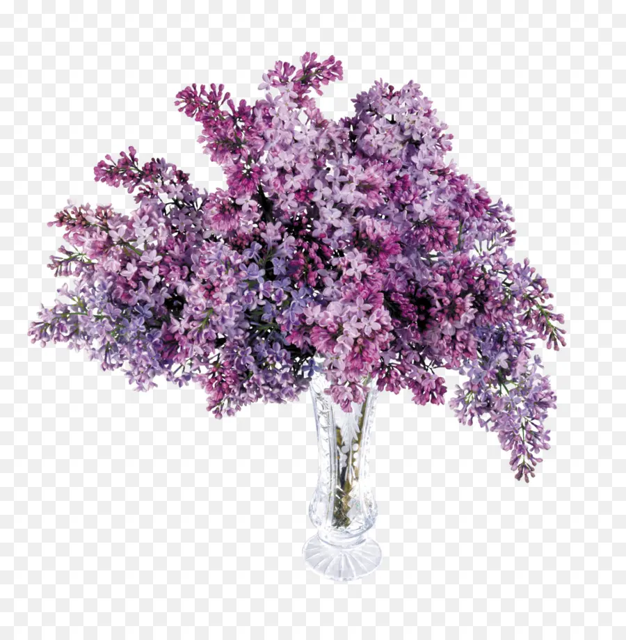 Flores Lilas，Florero PNG