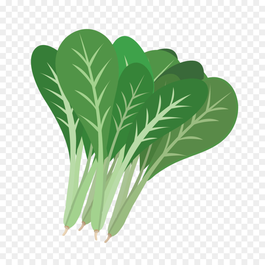 Apio Verde，Saludable PNG