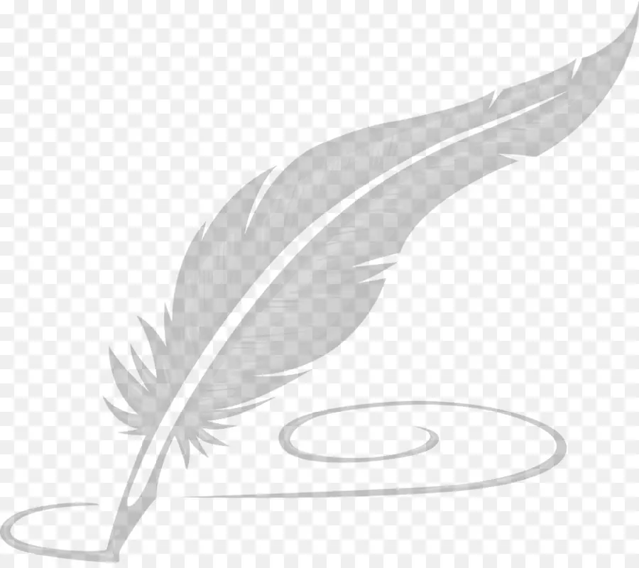 Papel，Pluma PNG