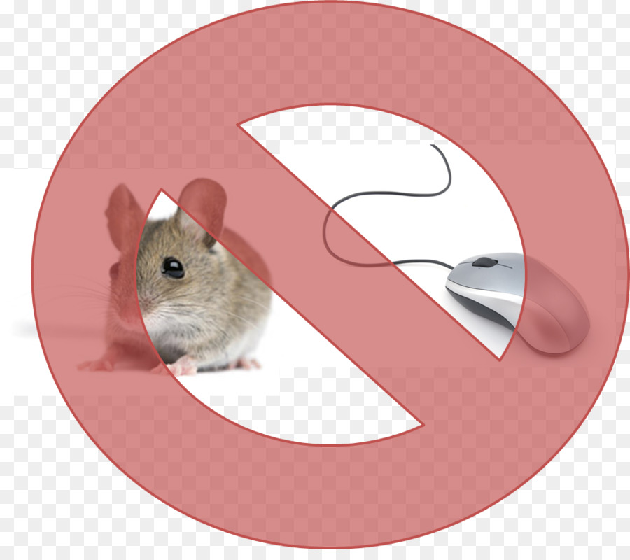 Rata，Ratón Elegante PNG