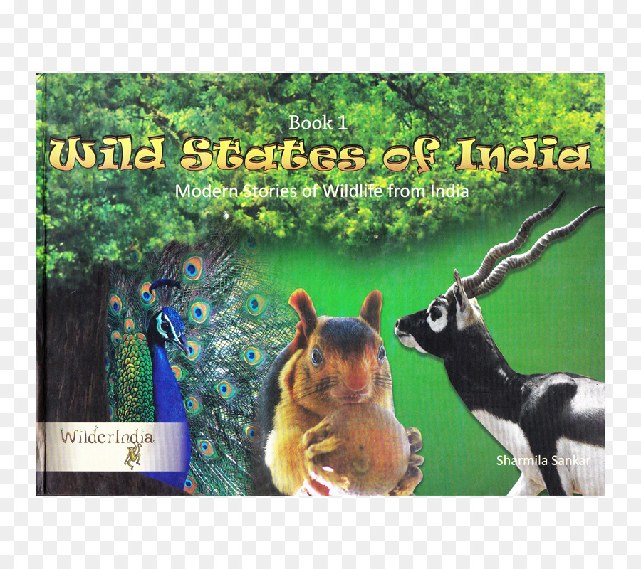 Silvestre De Los Estados De La India，Salvaje Cuentos De La India PNG