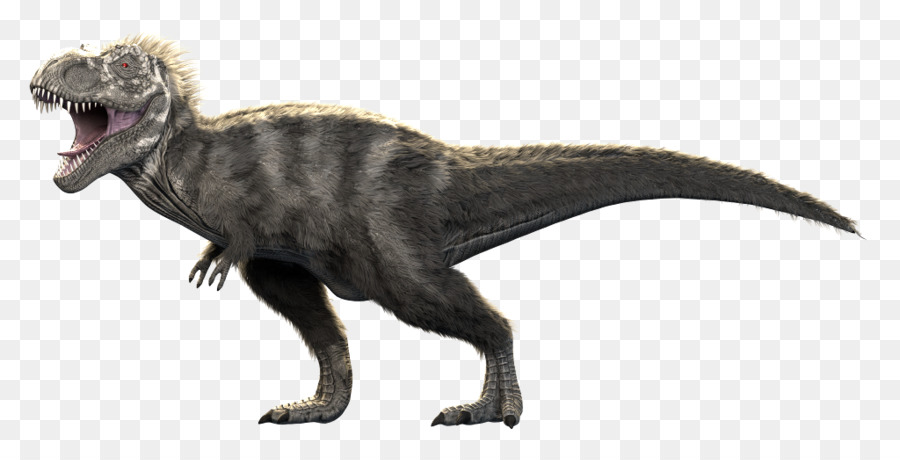 Allosaurus，Tyrannosaurus PNG